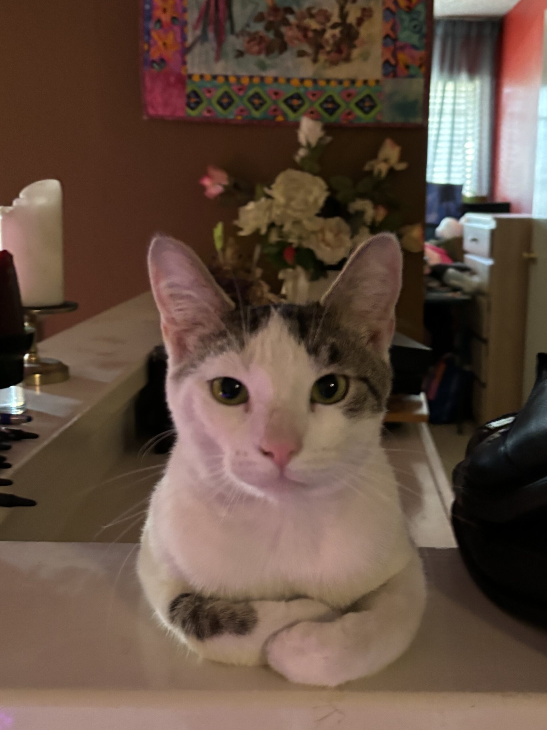 IMG_2127.jpeg